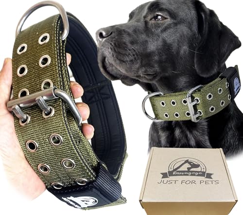 Kawagogo 4-lagiges Nylon-Halsband für große Hunde, taktisches Militär-Training, Robustes Hundehalsband für extra große Rassen, Deutscher Sherd, Rottweiler, Pitbull (Breite: 5,1 cm, verstellbar: 43,2 Kawagogo 4-lagiges Nylon-Halsband für große Hunde, taktisches Militär-Training, Robustes Hundehalsband für extra große Rassen, Deutscher Sherd, Rottweiler, Pitbull (Breite: 5,1 cm, verstellbar: 43,2 von Kawagogo