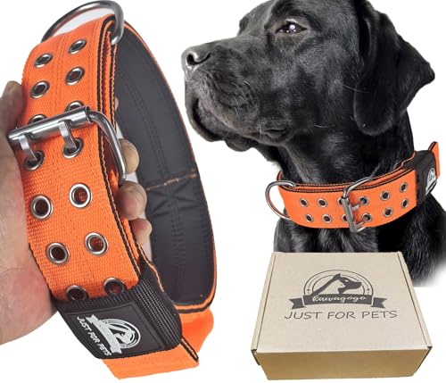 Kawagogo 4-lagiges Nylon-Halsband für große Hunde, taktisches Militär-Training, robustes Hundehalsband für extra große Rassen (Orange, Größe: L, verstellbar: 43,2 - 55,9 cm, passend für: große Hunde) Kawagogo 4-lagiges Nylon-Halsband für große Hunde, taktisches Militär-Training, robustes Hundehalsband für extra große Rassen (Orange, Größe: L, verstellbar: 43,2 - 55,9 cm, passend für: große Hunde) von Kawagogo