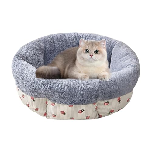 Katzenbetten Für Den Innenbereich, Kleines Hundebett, Katzenbetten Waschbar, Haustierbetten, Gemütliche Katzenbetten, Für Kätzchen Und Kleine Hunde Katzenbetten Für Den Innenbereich, Kleines Hundebett, Katzenbetten Waschbar, Haustierbetten, Gemütliche Katzenbetten, Für Kätzchen Und Kleine Hunde von Kaxenig