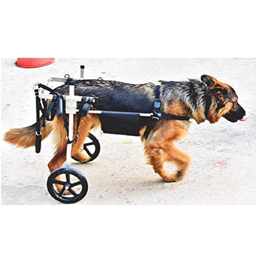 Hunderollstuhl Wheels Dog Wheelchair - Für mittelgroße Hunde 15-60 kg - Tierarztgeprüft - Rollstuhl für Hinterbeine - Für Hunde- / Hundehund Rollstuhl Hinterbein Rehabilitation für Behinderten, 2 Räde von Kays