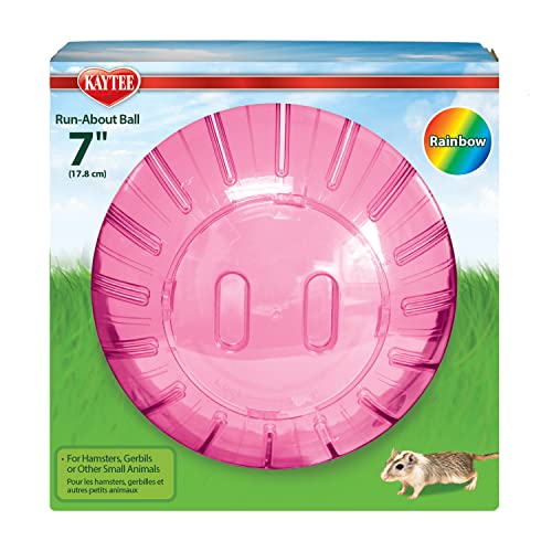 Kaytee Run-About-Ball, Gymnastikball und Spielzeug für Hamster, Rennmäuse und andere kleine Tiere, 17,8 cm Durchmesser, Farbe kann variieren Kaytee Run-About-Ball, Gymnastikball und Spielzeug für Hamster, Rennmäuse und andere kleine Tiere, 17,8 cm Durchmesser, Farbe kann variieren von Kaytee