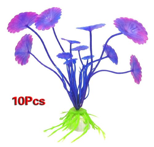 Kcvzitrds 10 x Kunststoff für Aquarien, Pflanzen, Fisch, Aquarium, Ornament, Landschaftsdekoration, Violett Kcvzitrds 10 x Kunststoff für Aquarien, Pflanzen, Fisch, Aquarium, Ornament, Landschaftsdekoration, Violett von Kcvzitrds