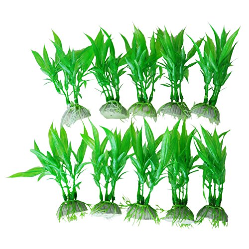 Kcvzitrds 10 x künstliche Kräuter/Wasserpflanzen aus Kunststoff, Dekoration für Aquarien, Grasgrün, groß Kcvzitrds 10 x künstliche Kräuter/Wasserpflanzen aus Kunststoff, Dekoration für Aquarien, Grasgrün, groß von Kcvzitrds