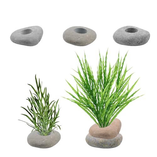 6 Stück Aquarium Pflanzengewichte Handgefertigte Kieselsteinanker für Wasserpflanzen Aquarium Dekorationen (Einzigartige Form und Größe) von KeaJuidy