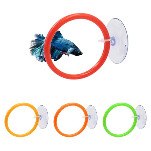 KeaJuidy 4 Stück Trainingsring für Kampffische mit Saugnapf Aquarium Spielzeug Angeltank Zubehör Schwimmender Ring für Bettas, Goldfisch 6cm KeaJuidy 4 Stück Trainingsring für Kampffische mit Saugnapf Aquarium Spielzeug Angeltank Zubehör Schwimmender Ring für Bettas, Goldfisch 6cm von KeaJuidy