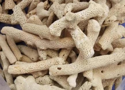 KeaJuidy 400g Korallenstein Aquarium Filtermedien Aquarium Filtermaterial Filtrationsmedium für Süßwasser und Meerwasseraquarien KeaJuidy 400g Korallenstein Aquarium Filtermedien Aquarium Filtermaterial Filtrationsmedium für Süßwasser und Meerwasseraquarien von KeaJuidy