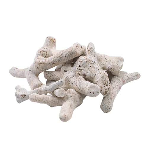 KeaJuidy 500g Korallenstein Aquarium Filtermedien Aquarium Filtermaterial Filtrationsmedium für Süßwasser und Meerwasseraquarien KeaJuidy 500g Korallenstein Aquarium Filtermedien Aquarium Filtermaterial Filtrationsmedium für Süßwasser und Meerwasseraquarien von KeaJuidy