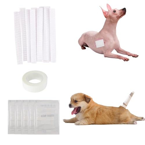 KeaJuidy Hundeschwanzschutz Hundeenden Set Haustier Selbsthaftende Bandage Dog Tail Protector Hundeschwanz Dressing Tierarzt Wrap für Hunde Haustier Tiere von KeaJuidy