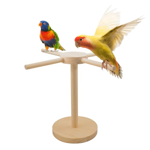 Parrot Desktop Ständer Papageien Spielständer aus Holz Vogelspielplatz Vogelkäfig Spielzeug für Papageien Nymphensittiche Wellensittiche von KeaJuidy
