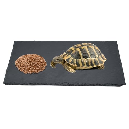 Schieferplatte für Reptilien 30x15cm Sonnenplattform Basking Plattform Rock Naturstein Ruheplattform für Schildkröte, Eidechse, Bartdrache, Gecko von KeaJuidy