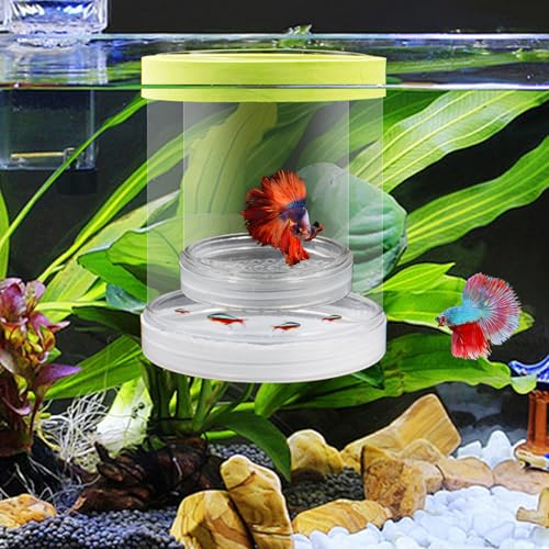 Schwimmende Fischzucht Isolation Box Fischtankzüchter Box Aufzuchtbecken Aquarium für Babyfische, Betta-Garnelen, Clownfische, Guppys (Grün, Groß) von KeaJuidy