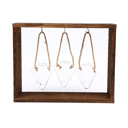 Desktop -Glasvase -Pflanzenhalter, Pflanzenmehrstationen, Glasvase -Holzregal Kombiniert, Klare Glasbirnenvase, für Hausgartenbüro -Dekoration in Innenräumen Desktop -Glasvase -Pflanzenhalter, Pflanzenmehrstationen, Glasvase -Holzregal Kombiniert, Klare Glasbirnenvase, für Hausgartenbüro -Dekoration in Innenräumen von Keebgyy