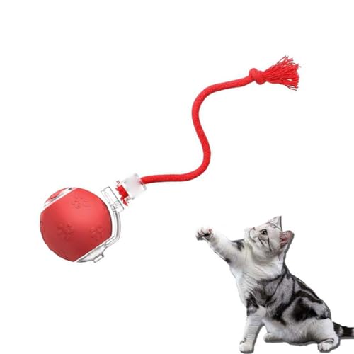Interactive Rechargeable Ball Cat & Dog Toy, Katzenspielzeug, Interaktives Katzenspielzeug Mit Vogelklang, Powerball Katze Automatisch Rollende, Interaktiver Katzenball mit Led Licht & Seil für Katzen von Keeplus