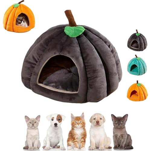 Pumpkin Cat Bed, 2025 Cute Pumpkin Shape Cat Cave, Puppy House, Katzenbetten für Hauskatzen, Faltbare Katzenbetthöhle, Katzenhaus mit waschbaren Kissen, Niedliche Katzenhöhle in Kürbisform (Gray, L) von Keeplus