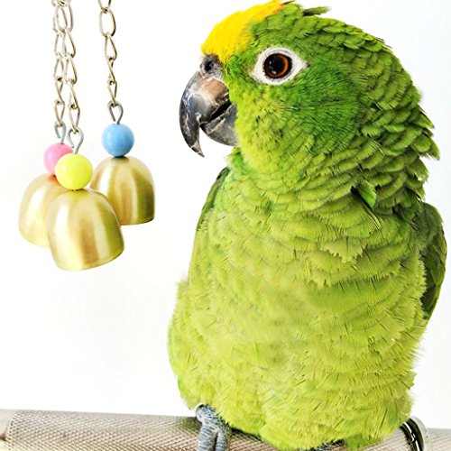 Bird Sweet Glocken Kauspielzeug für Parrot Aras Graupapageien Wellensittich Kakadus Sittiche Nymphensittiche Unzertrennliche Finch Käfig Spielzeug von Keersi