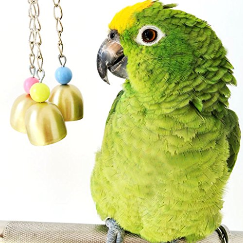 Kauspielzeug für Vögel, süße Glocken, für Papageien, Aras, Graupapageien, Wellensittiche, Kakadus, Sittiche, Nymphensittiche, Unzertrennliche, Finken, Käfigspielzeug Kauspielzeug für Vögel, süße Glocken, für Papageien, Aras, Graupapageien, Wellensittiche, Kakadus, Sittiche, Nymphensittiche, Unzertrennliche, Finken, Käfigspielzeug von Keersi