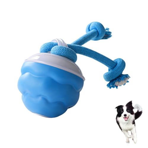 Interaktives Hundespielzeug,Interaktiver Hundeball mit Seil Wiederaufladbarer und Langlebiger Hundeball Quietschendes Spielzeug für Welpen,Kleine Mittelgroße Hunde,Jagdbälle für Hunde (01) von Keho Keho Kehongdun