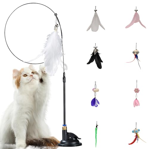 Interaktives Katzenspielzeug Angel,Katzen Spielzeug mit Saugnäpfen,9pc Katzenspielzeug Selbstbeschäftigung Interaktives Spielzeug für Katzen,Federspielzeug für Katzenangel Cat Toys Interaktives Katzenspielzeug Angel,Katzen Spielzeug mit Saugnäpfen,9pc Katzenspielzeug Selbstbeschäftigung Interaktives Spielzeug für Katzen,Federspielzeug für Katzenangel Cat Toys von Keho Keho Kehongdun
