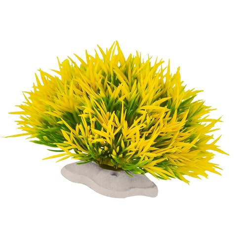 Kelisdi Aquarium-Landschaftspflanze, Naturstil, Heimdekoration, Landschaftsdekoration für Wohnzimmer, Büros und Hotel, kommerzielle Raumdekoration Kelisdi Aquarium-Landschaftspflanze, Naturstil, Heimdekoration, Landschaftsdekoration für Wohnzimmer, Büros und Hotel, kommerzielle Raumdekoration von Kelisdi