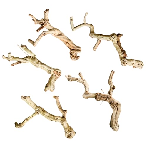 Kelisdi Reptilien Treibholz Höhle Treibholz Lebensraum Aufsatz für Eidechsen Versteck Reptilien Spielzeug Holz Stamm Baum Klettern Kelisdi Reptilien Treibholz Höhle Treibholz Lebensraum Aufsatz für Eidechsen Versteck Reptilien Spielzeug Holz Stamm Baum Klettern von Kelisdi