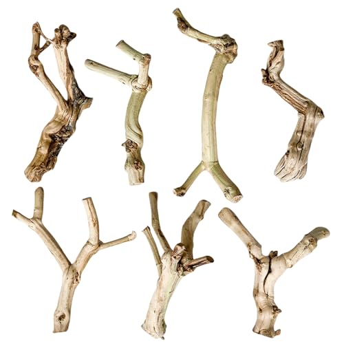 Kelisdi Reptilien Treibholz Höhle Treibholz Lebensraum Aufsatz für Eidechsen Versteck Reptilien Spielzeug Holz Stamm Baum Klettern Kelisdi Reptilien Treibholz Höhle Treibholz Lebensraum Aufsatz für Eidechsen Versteck Reptilien Spielzeug Holz Stamm Baum Klettern von Kelisdi