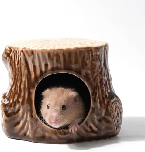 Kelivi Hamsterversteck aus Keramik, Hamsterhaus und Lebensraum, syrisches Versteck Dekor, kühles Bett für alle Jahreszeiten, Rennmäuse, Mäuse, Meerschweinchen Kelivi Hamsterversteck aus Keramik, Hamsterhaus und Lebensraum, syrisches Versteck Dekor, kühles Bett für alle Jahreszeiten, Rennmäuse, Mäuse, Meerschweinchen von Kelivi