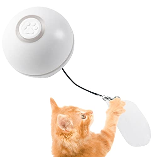 Interaktives Katzenspielzeug Ball | Kätzchen Indoor Interaktives bewegliches Ballspielzeug | Selbstdrehendes Haustier-Übungsspielzeug für kleine Katzen und Hunde Keloc von Keloc
