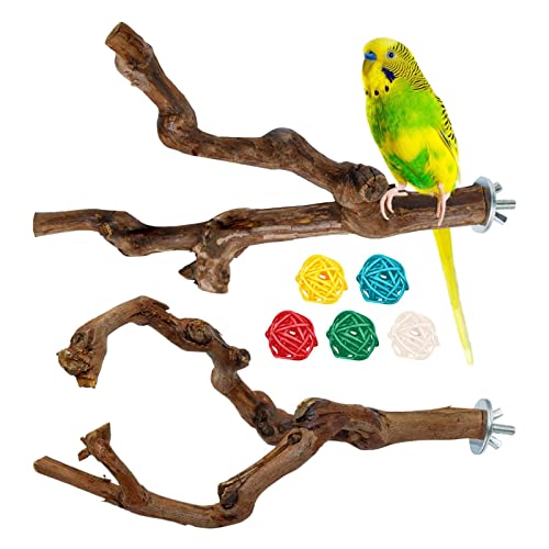 Sittich-Sitzstangen für Käfig, natürliche Weinreben, Vögel, stehende Sitzstange, Vögel, Baumzweighalter, Pfotenschleifen, Sittich, Kletterzweige für Garten, Terrasse Keloc Sittich-Sitzstangen für Käfig, natürliche Weinreben, Vögel, stehende Sitzstange, Vögel, Baumzweighalter, Pfotenschleifen, Sittich, Kletterzweige für Garten, Terrasse Keloc von Keloc
