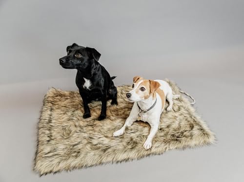 Kentucky Dogwear Fuzzy Blanket to go Hundebett, Größe:L, Farbe:braun von Kentucky
