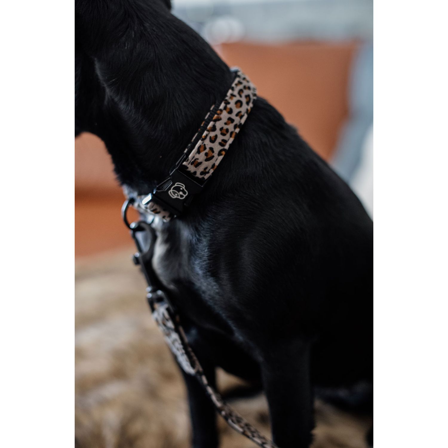 Kentucky Dogwear Hundehalsband mit Tiermuster Kentucky Dogwear Hundehalsband mit Tiermuster von Kentucky Dogwear