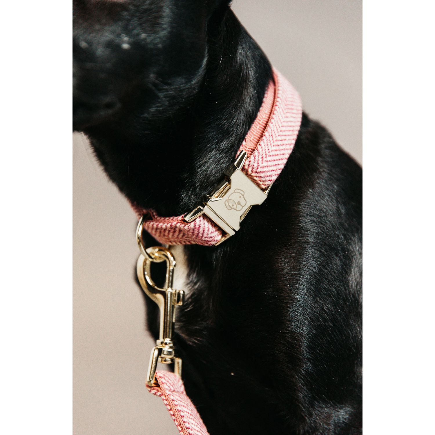 Kentucky Dogwear Hundeleine Wolle 1,2m Kentucky Dogwear Hundeleine Wolle 1,2m von Kentucky Dogwear