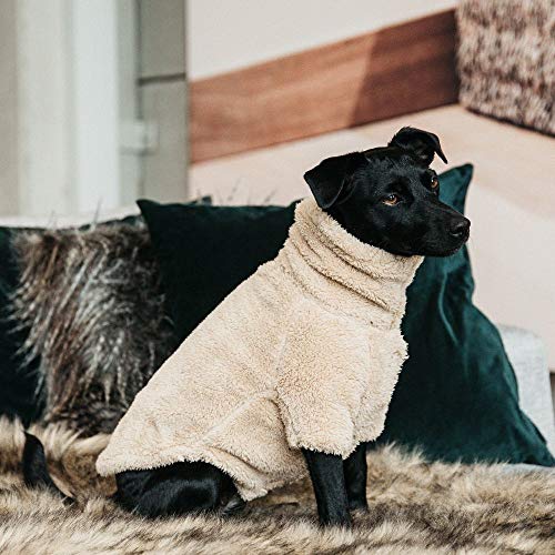 Kentucky - Hunde Pullover Teddy Fleece beige XS 34cm Kentucky - Hunde Pullover Teddy Fleece beige XS 34cm von Kentucky