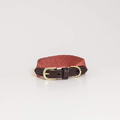 Kentucky Dogwear Jacquard Hundehalsband, Größe:L, Farbe:Terracotta von Kentucky