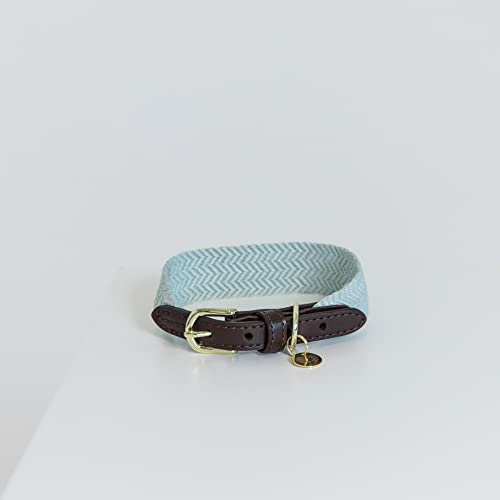 Kentucky Dogwear - Jacquard Hundehalsband - Hellblau - Größe M - 50cm Kentucky Dogwear - Jacquard Hundehalsband - Hellblau - Größe M - 50cm von Kentucky