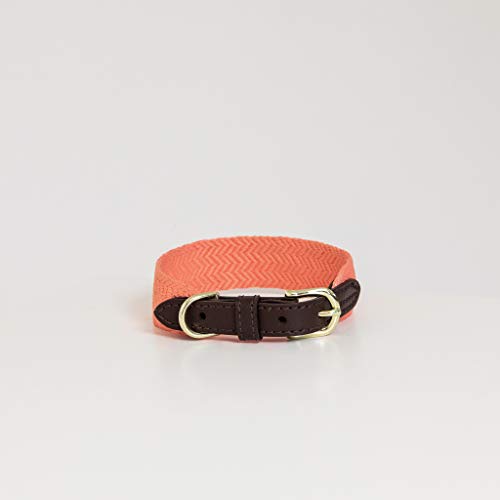 Kentucky Dogwear Jacquard Hundehalsband, Größe:M/L, Farbe:neon orange von Kentucky