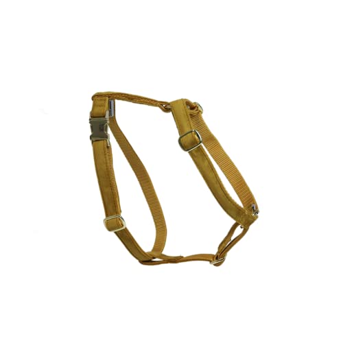 Kentucky - Lauf Hundegeschirr - Senf - Größe S - 37-64cm Kentucky - Lauf Hundegeschirr - Senf - Größe S - 37-64cm von Kentucky