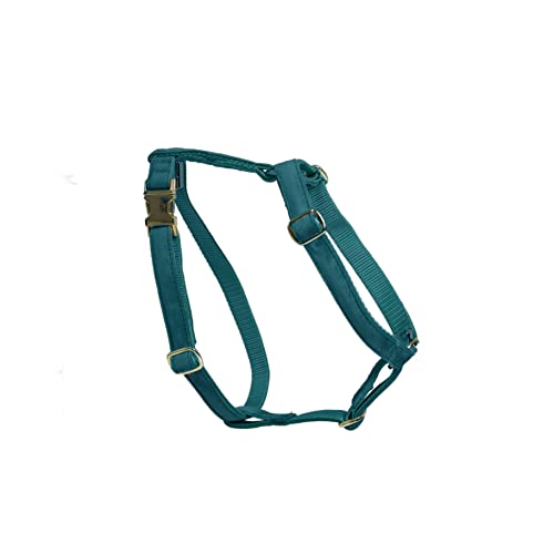 Kentucky - Lauf Hundegeschirr - Smaragd - Größe XS - 28-45cm Kentucky - Lauf Hundegeschirr - Smaragd - Größe XS - 28-45cm von Kentucky