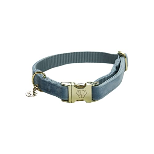 Kentucky Dogwear - Hundehalsband - Samt - Hellblau S - 28-40cm Kentucky Dogwear - Hundehalsband - Samt - Hellblau S - 28-40cm von Kentucky