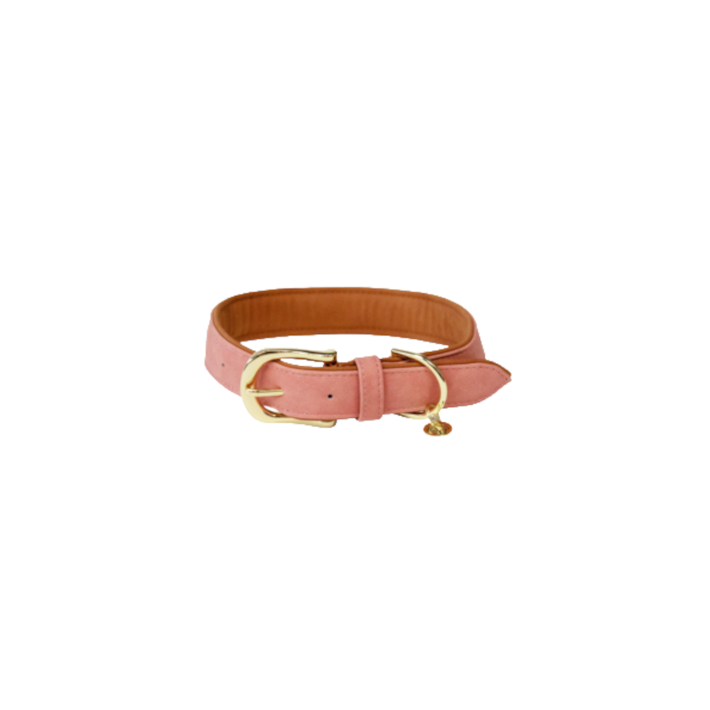 Kentucky Hunde Halsband vegan Leder Kentucky Hunde Halsband vegan Leder von Kentucky Dogwear