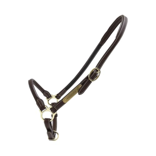 Kentucky Grooming Halfter - Size Full von Kentucky Horsewear