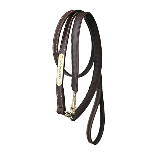 Kentucky Horsewear Leather Covered Chain Führleine von Kentucky Horsewear