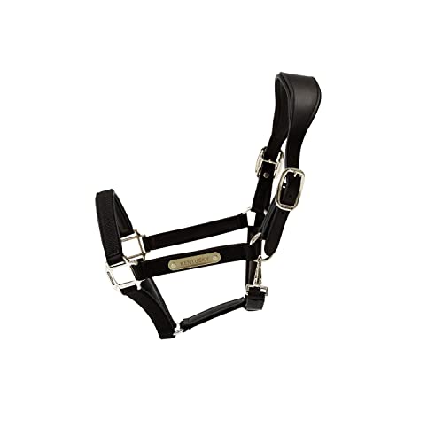 Kentucky Horsewear Nylon Halfter anatomisch, Größe:Full, Farbe:schwarz Kentucky Horsewear Nylon Halfter anatomisch, Größe:Full, Farbe:schwarz von Kentucky Horsewear