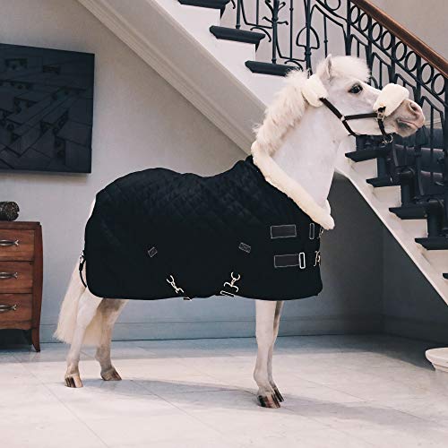 Kentucky Horsewear Tiny Show Rug Turnierdecke Pony mit künstlichem Kaninchenfell 160g, Größe:70, Farbe:schwarz von Kentucky Horsewear