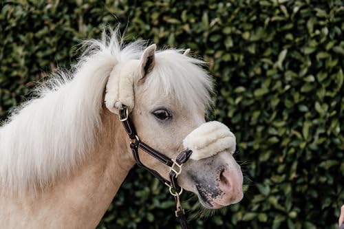 Kentucky Leder Ponyhalfter Schaffell - Size Pony von Kentucky Horsewear