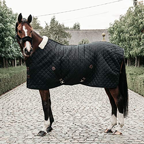 Kentucky Horsewear Stalldecke - 400g, Schwarz, 155cm, Kunstfell Kentucky Horsewear Stalldecke - 400g, Schwarz, 155cm, Kunstfell von Kentucky Horsewear