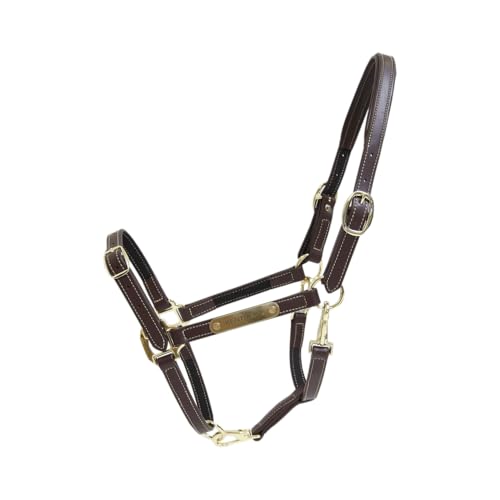 Kentucky - Halfter Flexibel - Braun - Mittel Kentucky - Halfter Flexibel - Braun - Mittel von Kentucky