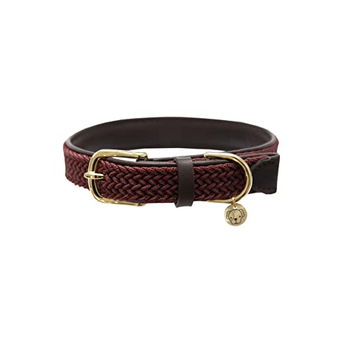 Gefl. Nylon Hundehalsband bord. XS von Kentucky