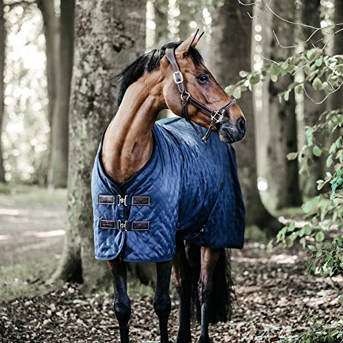 KENTUCKY HORSEWEAR Pferdecke aus hochfestem Polyesterstoff – Stalldecke mit abnehmbaren Bauchgurten, Geeignet als Winterdecke für optimale Wärme oder Turnierdecke & Transportdecke KENTUCKY HORSEWEAR Pferdecke aus hochfestem Polyesterstoff – Stalldecke mit abnehmbaren Bauchgurten, Geeignet als Winterdecke für optimale Wärme oder Turnierdecke & Transportdecke von Kentucky