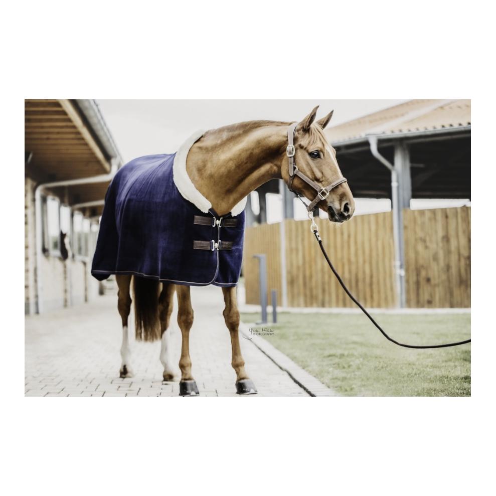 Kentucky Abschwitzdecke Fleece Show - navy Grösse Pferdedecken: 80 cm, Farbe: Navy Kentucky Abschwitzdecke Fleece Show - navy Grösse Pferdedecken: 80 cm, Farbe: Navy von Kentucky