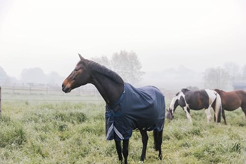 Kentucky - All Weather Comfort Außendecke, Marineblau, 125-5'9, 400 g Kentucky - All Weather Comfort Außendecke, Marineblau, 125-5'9, 400 g von Kentucky